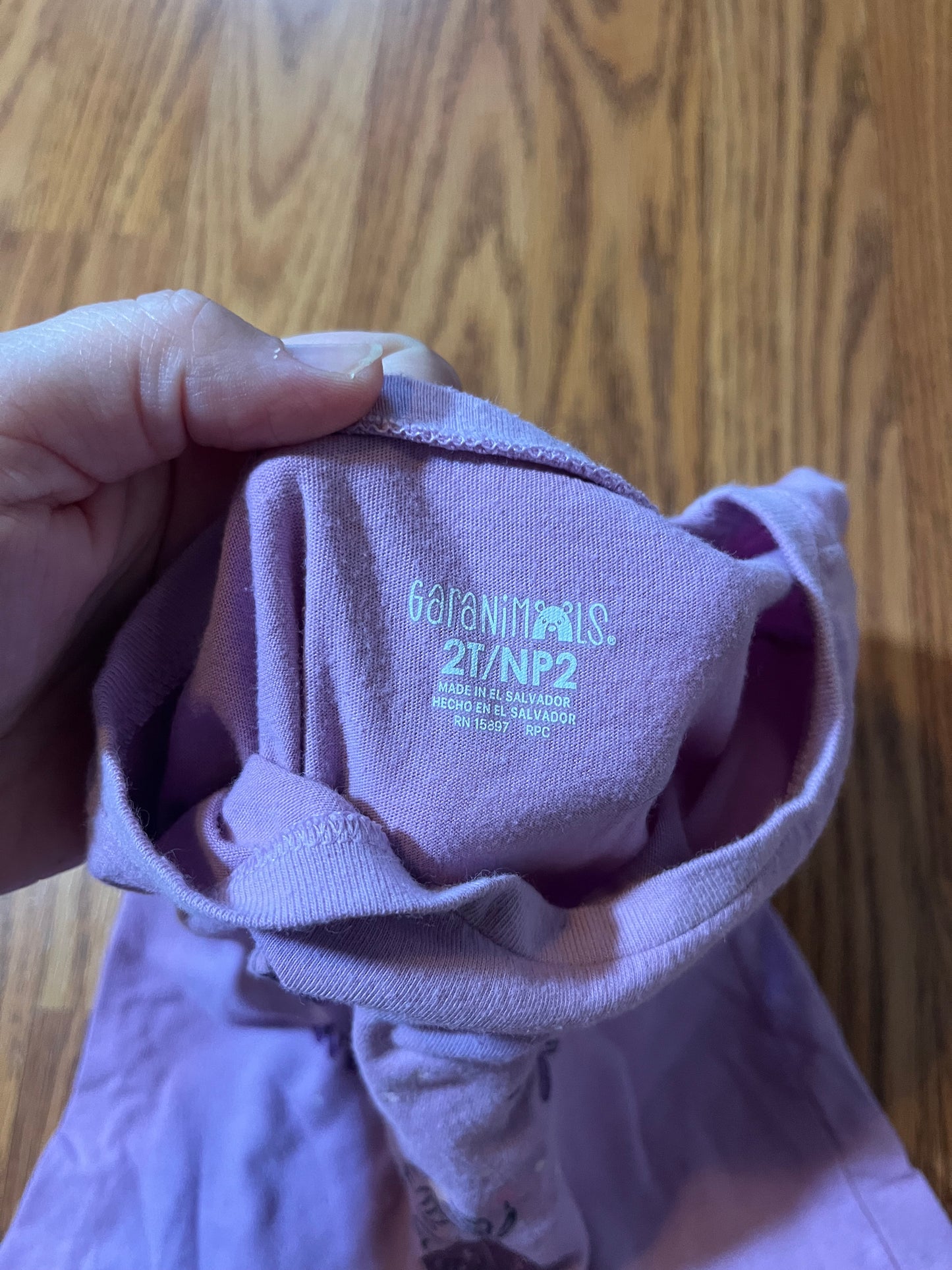 2t Garanimals girls tshirt