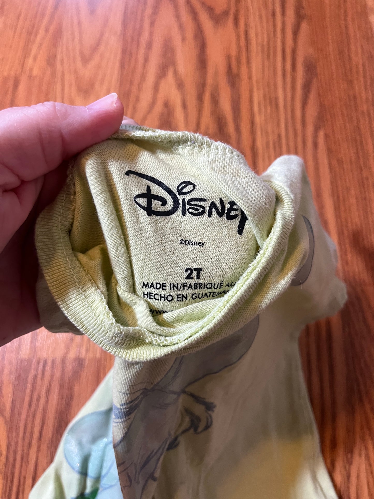 2t Tinkerbell Disney tshirt
