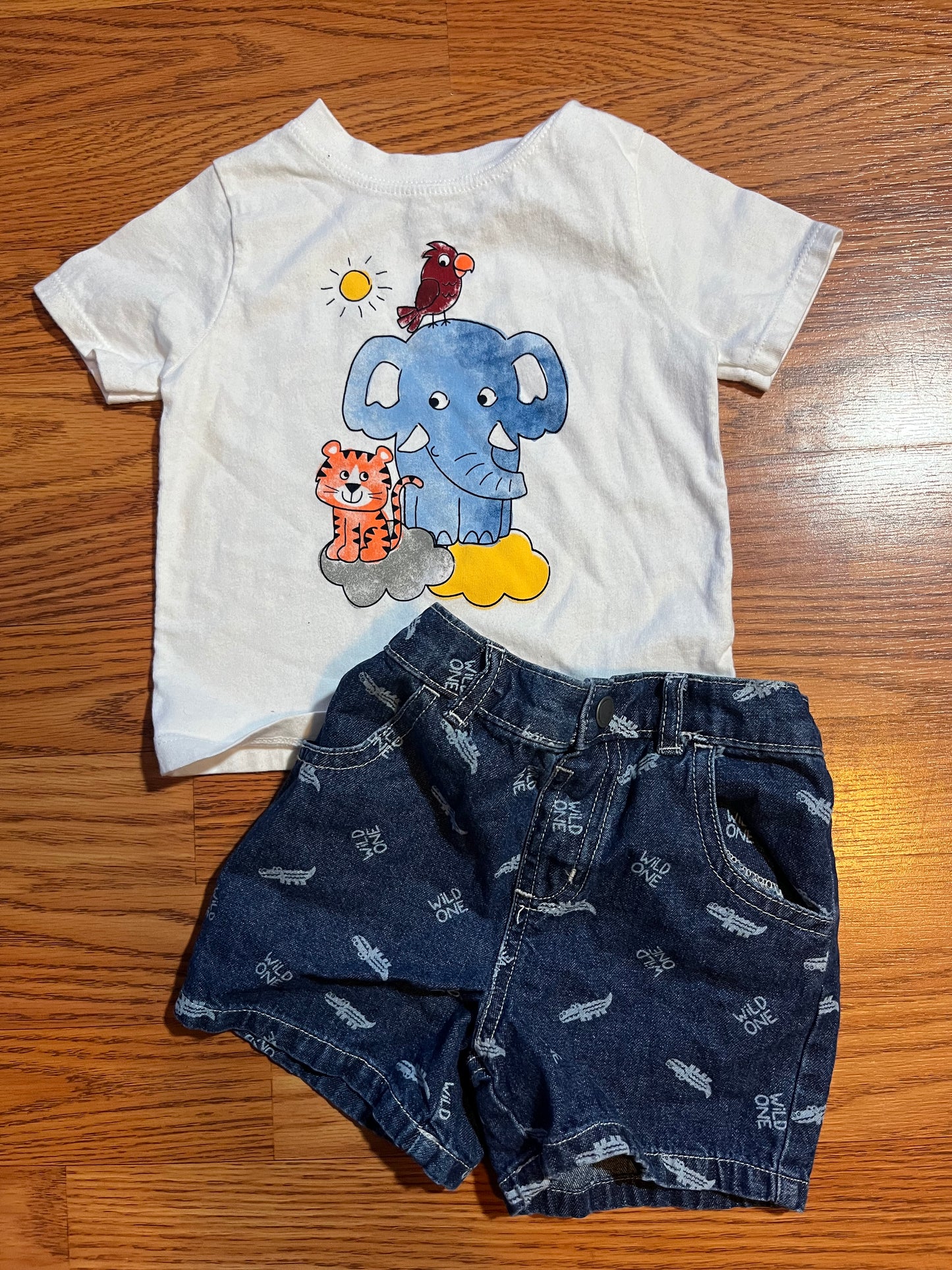 18 months boys Garanimals outfit