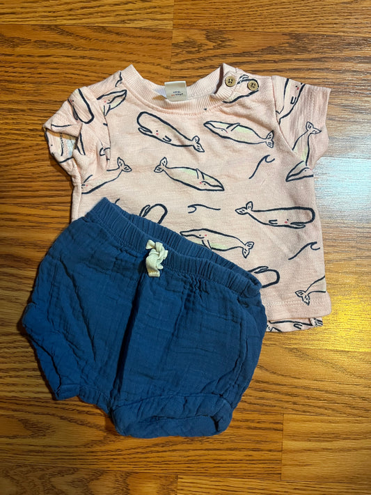 0/3 months baby boys Old Navy outfit (pink and navy blue)