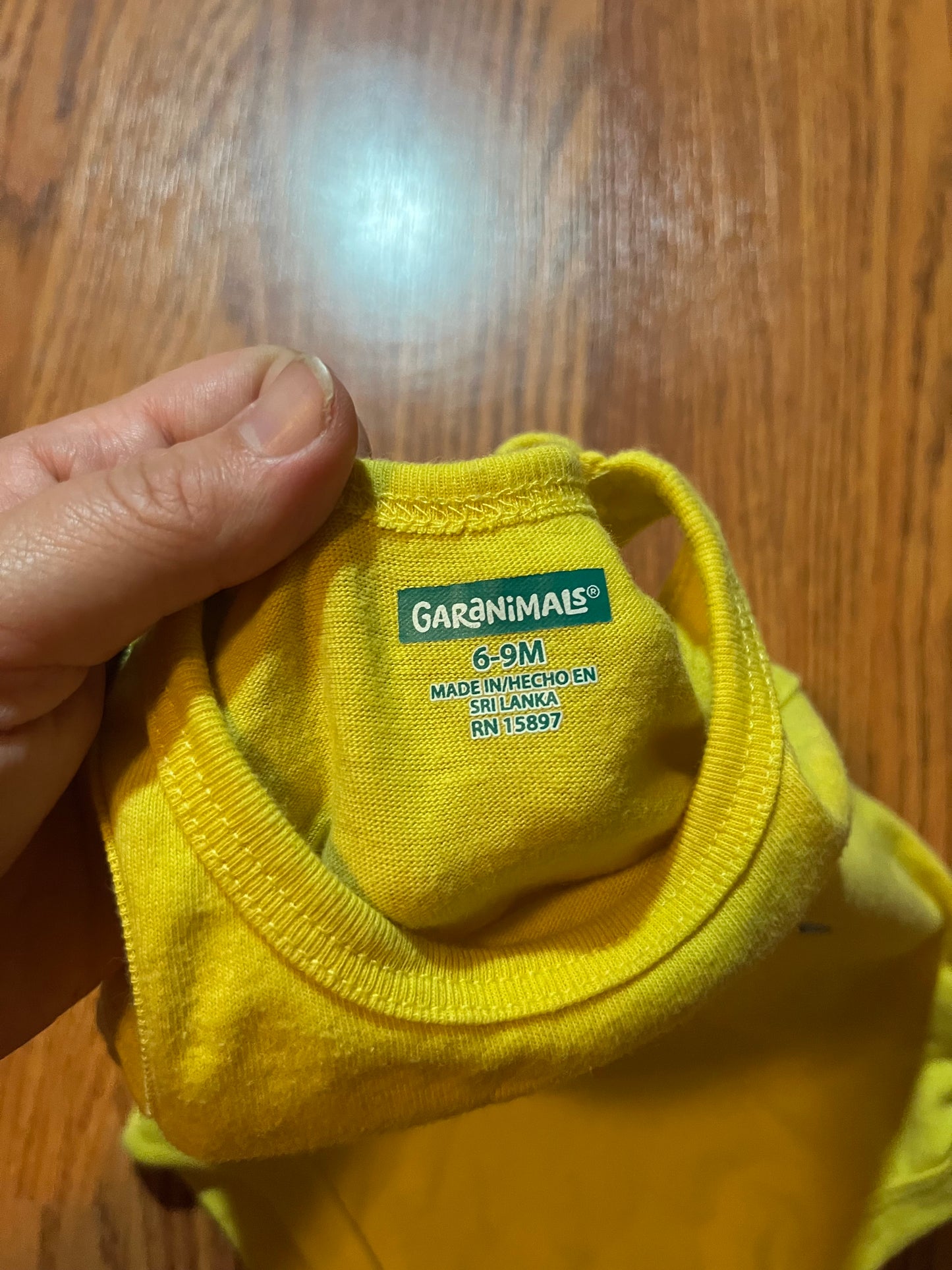 6/9 months Garanimals top