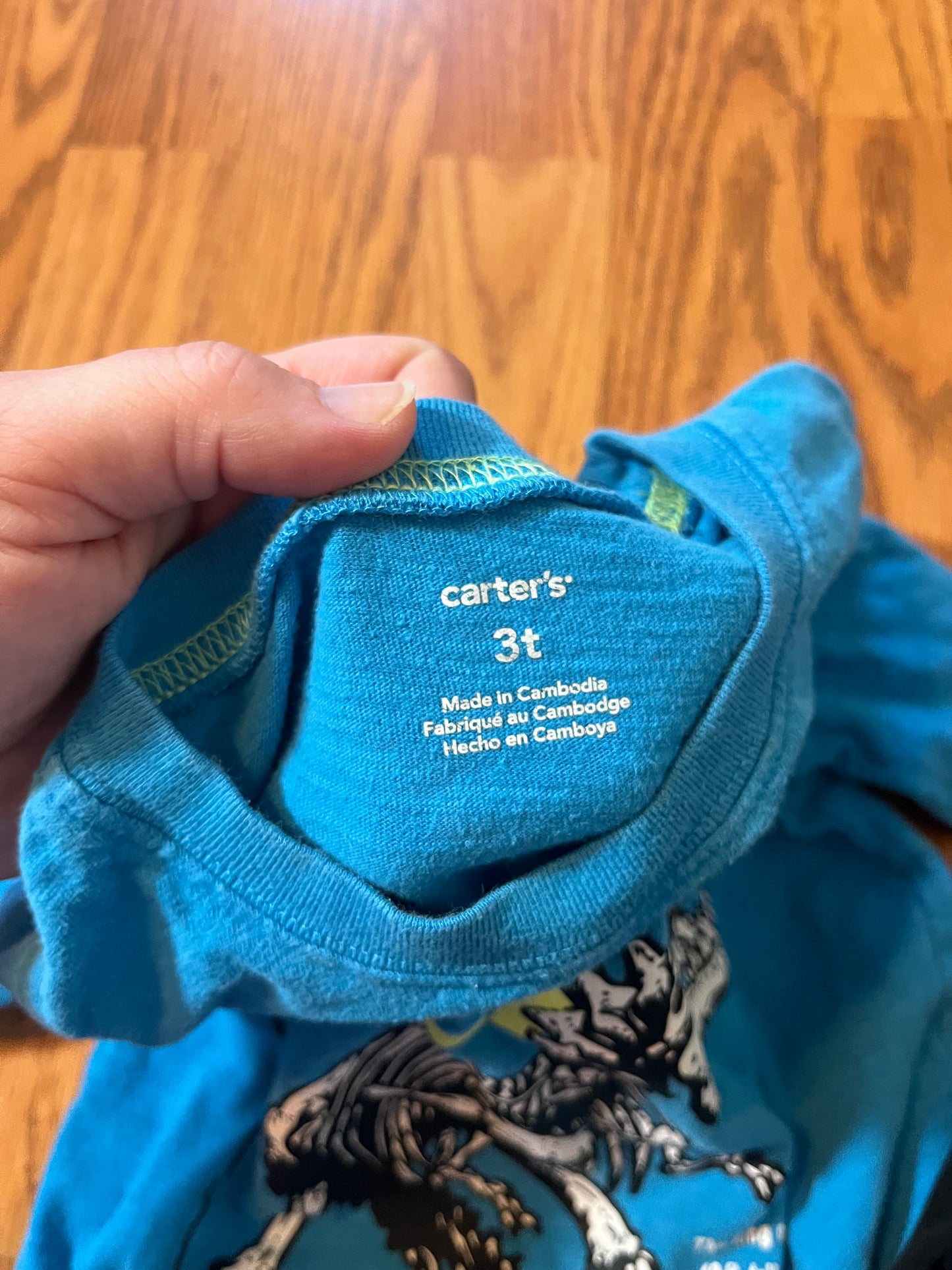 3t Carters Dino long sleeve top / 3t Garanimals pants
