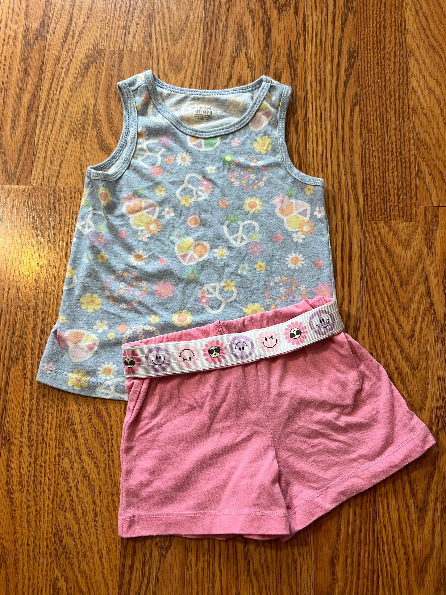 4t Garanimals girls summer outfit