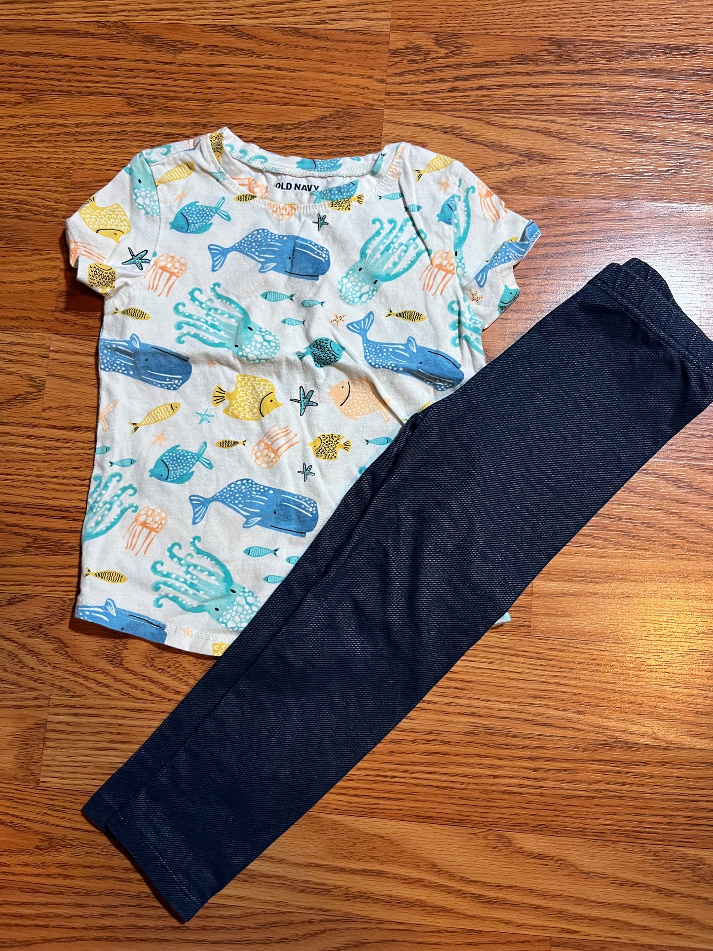 4t old navy tshirt / Garanimals leggings