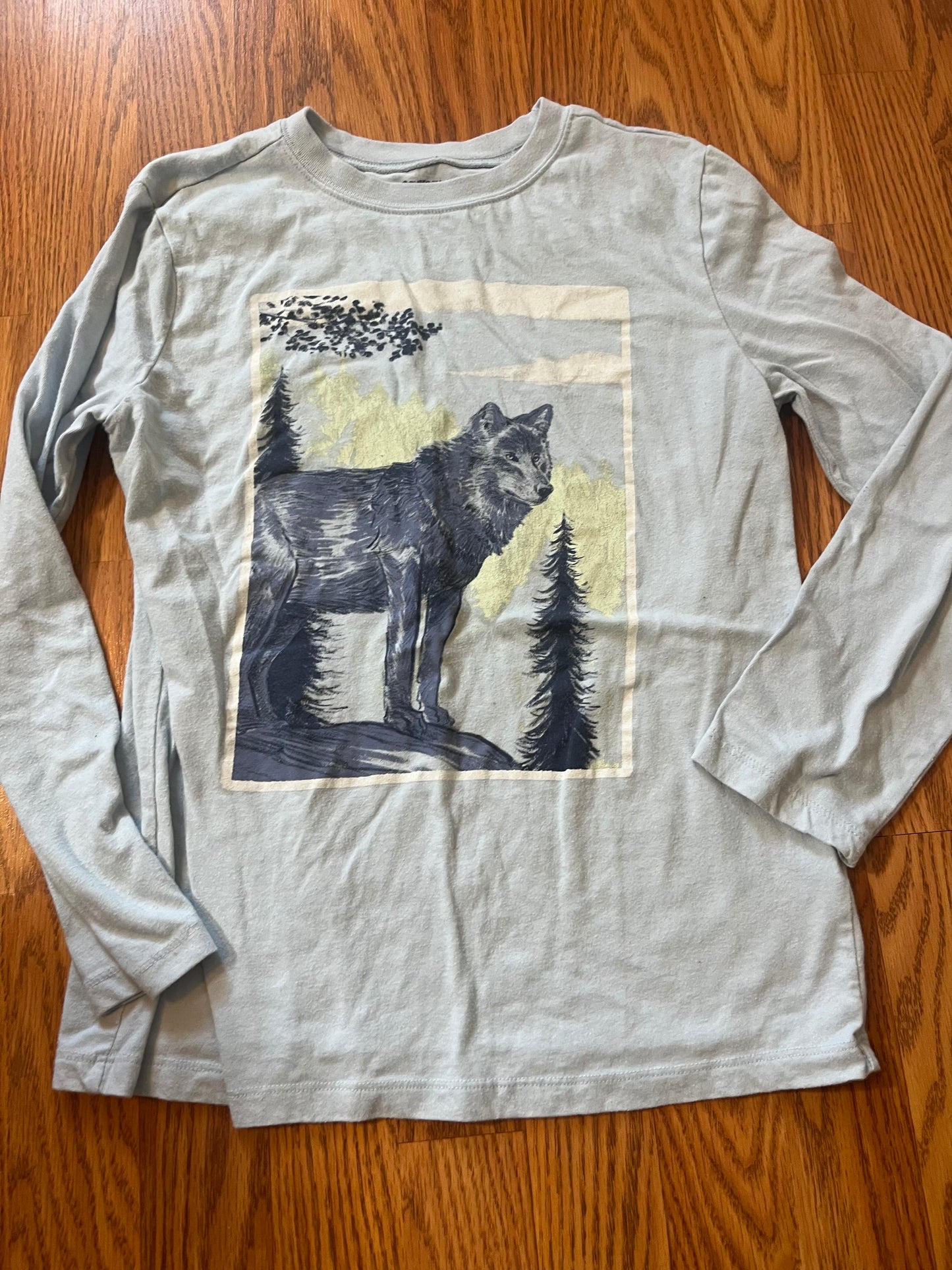 Oshkosh size 14 long sleeve top