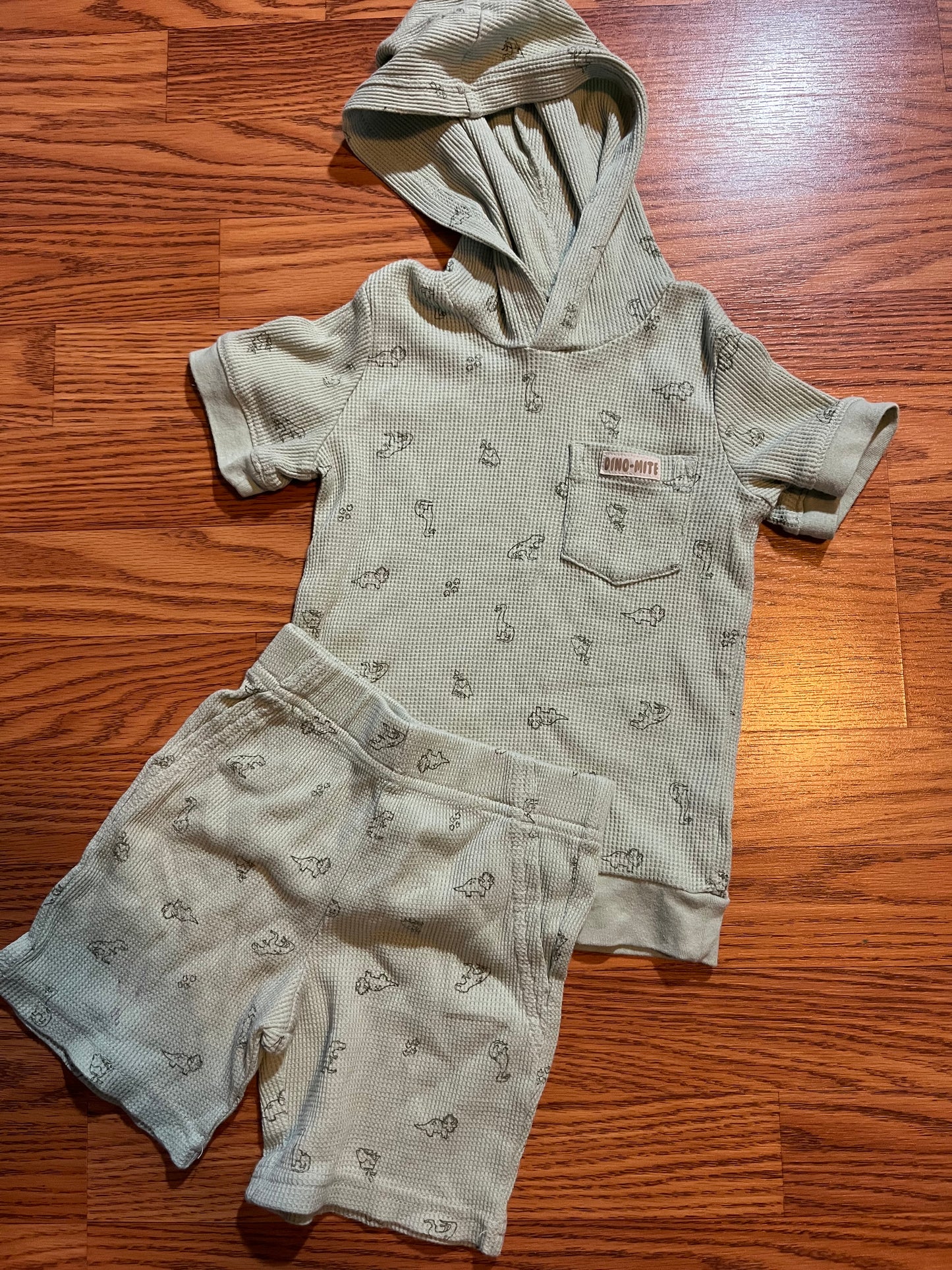 2t Carters waffle knit outfit (Dino print)