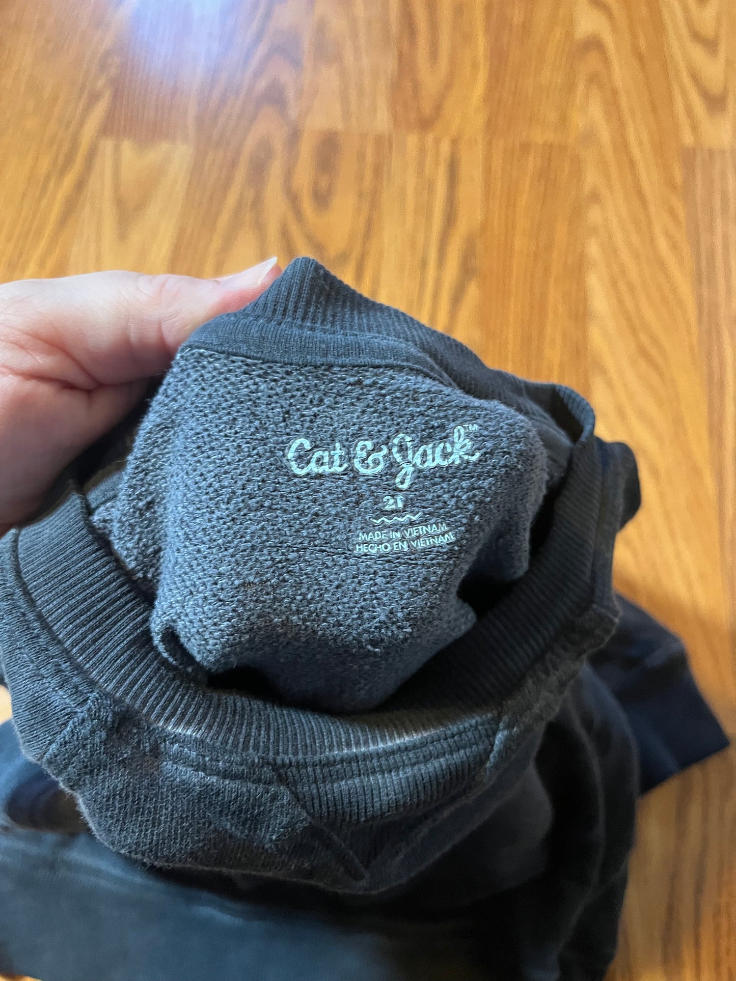 2t Cat & Jack thin sweatshirt