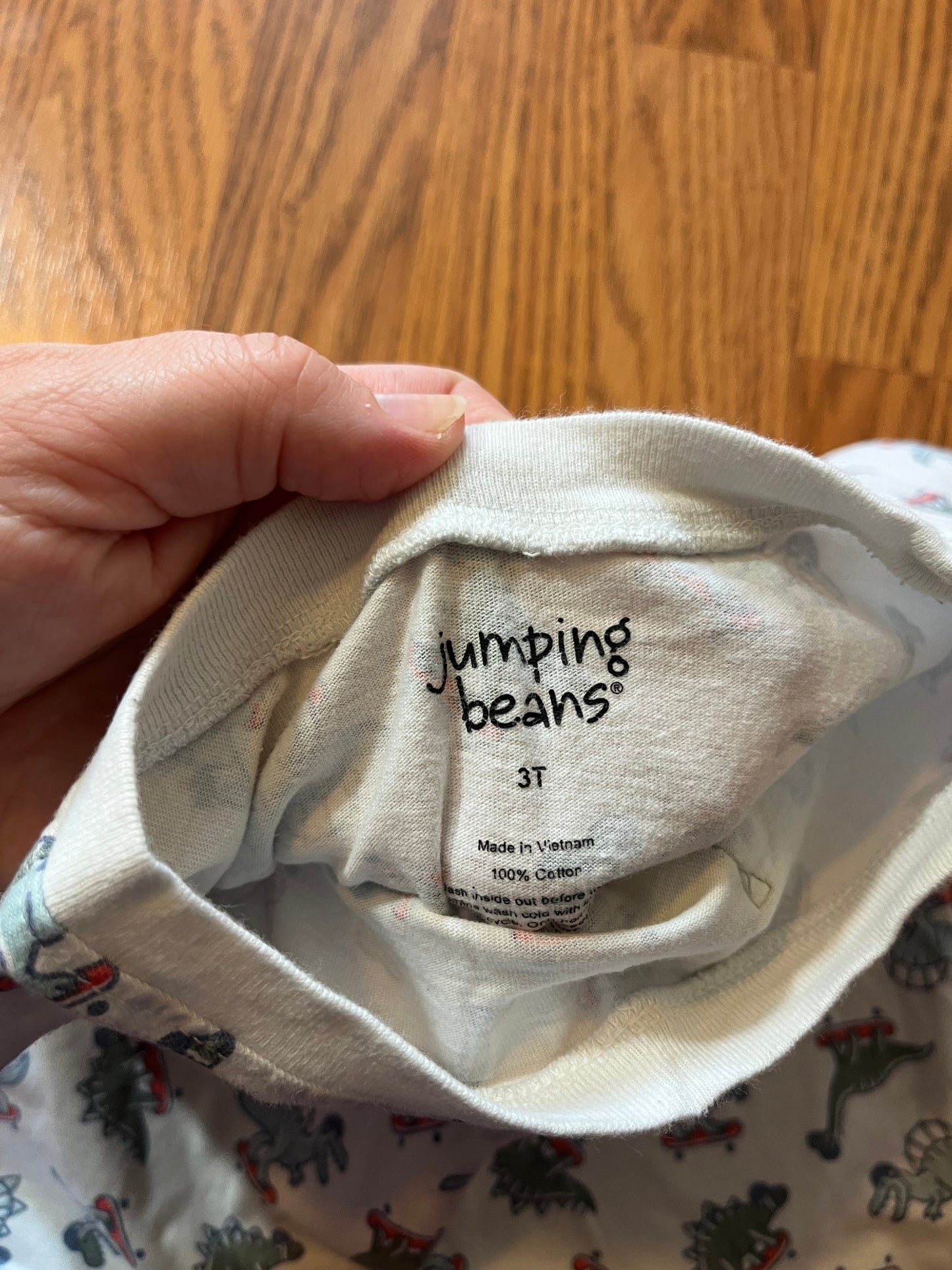 4t Jumping Bean Dino shirt