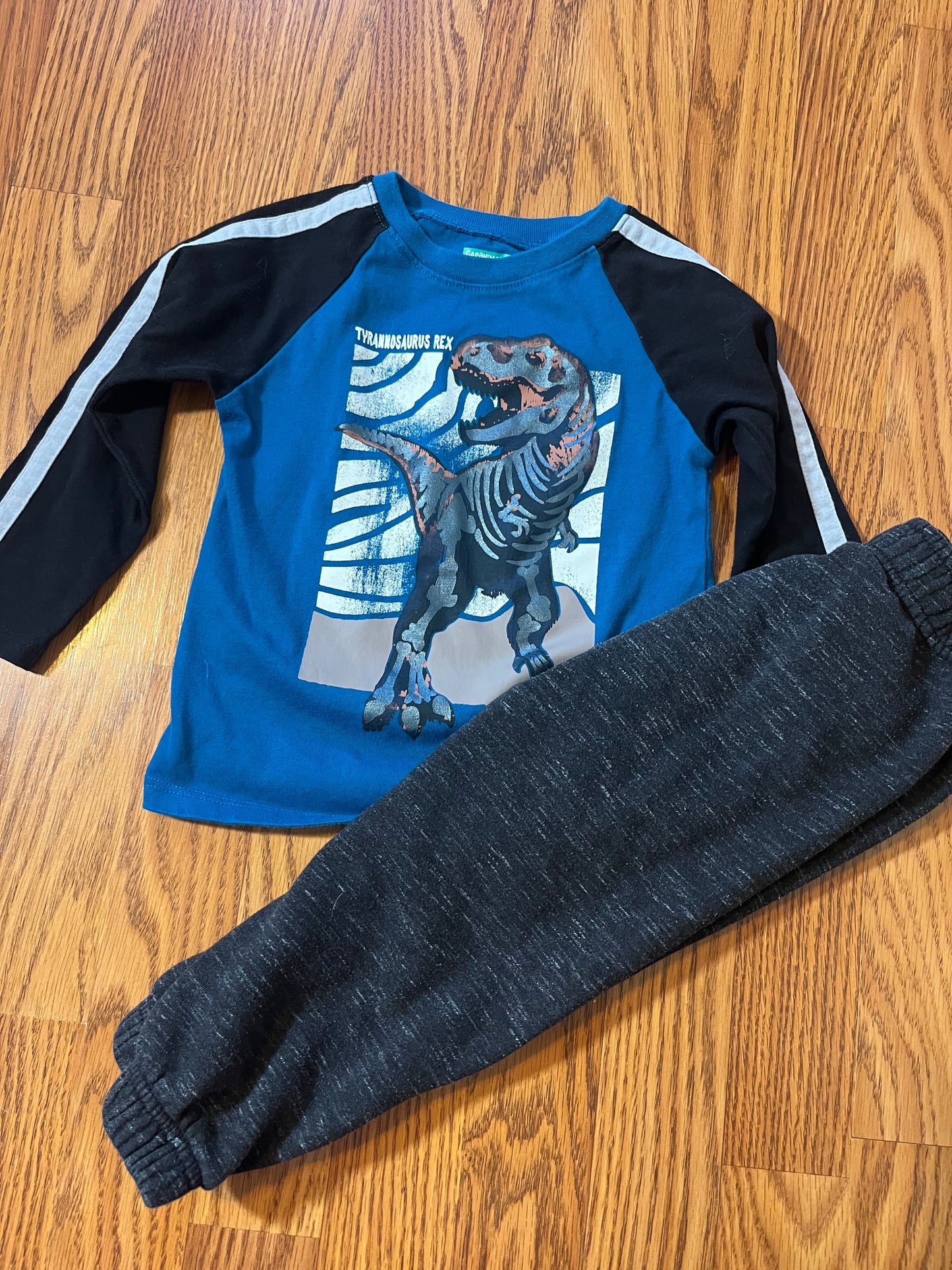 3t Garanimals outfit
