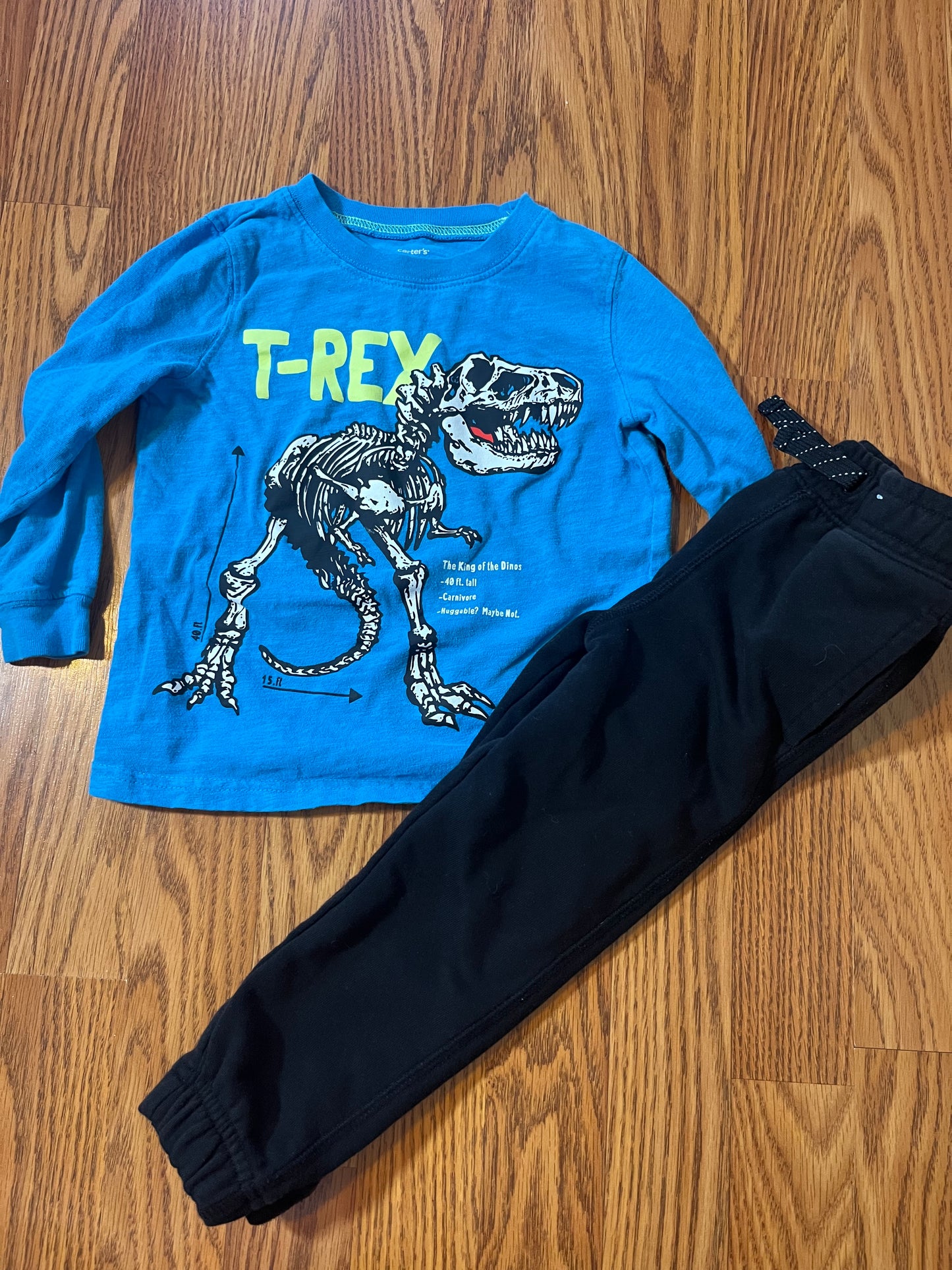 3t Carters Dino long sleeve top / 3t Garanimals pants