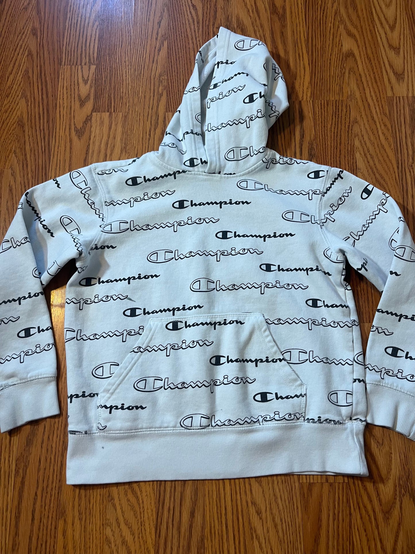 Champion hoodie size M 10/12 ( has 2 small pen/marker spots as shown in extra photo but not awful)